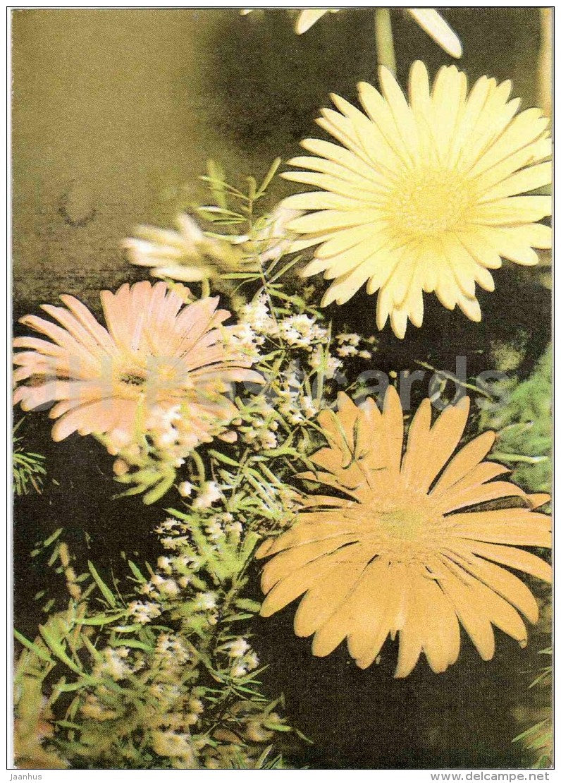 greeting card - yellow gerbera - flowers - telegram - 1990 - Estonia USSR - used - JH Postcards