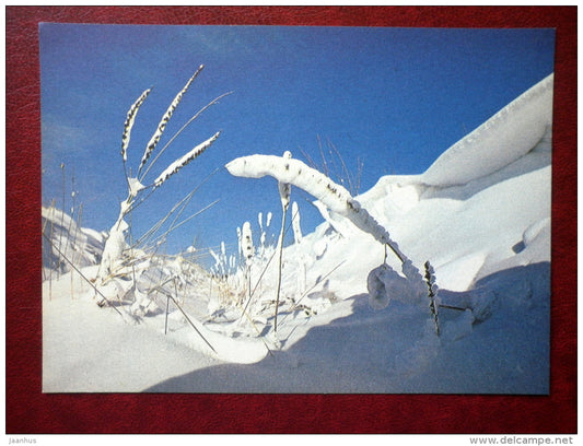 New Year Greeting card - winter , snow - 1984 - Estonia USSR - unused - JH Postcards