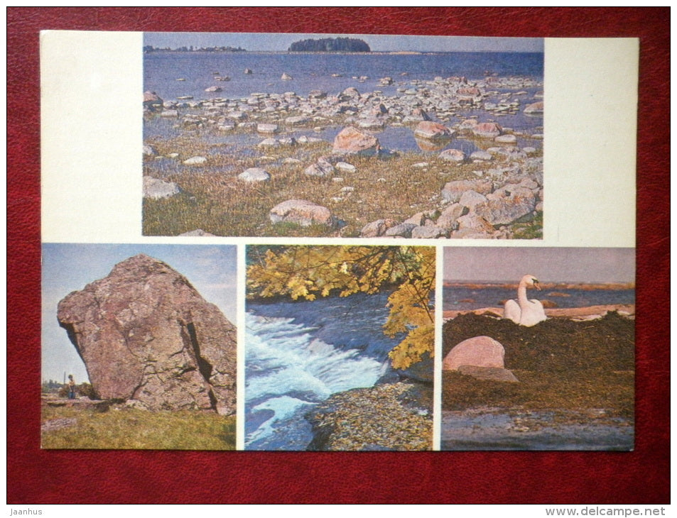 Views of Lahemaa National Park - swan - Harju district - 1981 - Estonia USSR - unused - JH Postcards