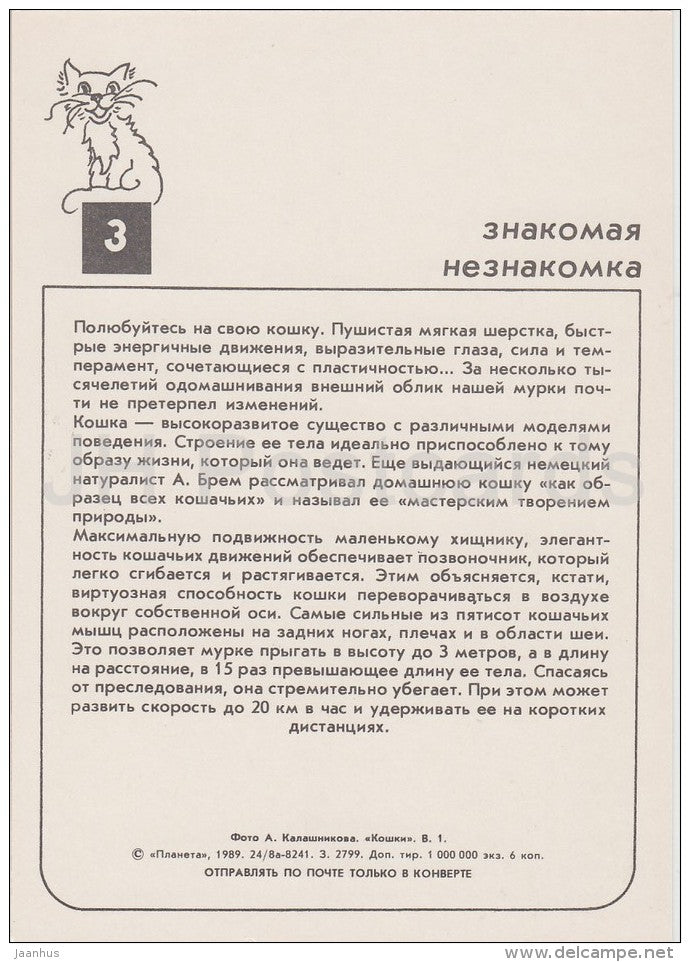 Persian Red Cat - 1 - cats - Russia USSR - 1989 - unused - JH Postcards