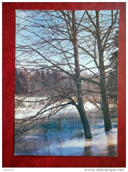 spring motif - nature - 1981 - Russia USSR - unused - JH Postcards