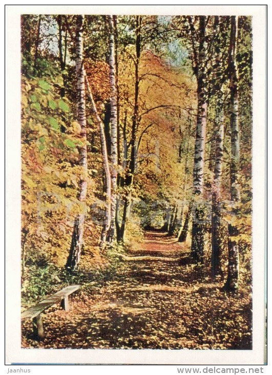 Alley in the Park - Home of Russian Writer Leo Tolstoy - Yasnaya Polyana - 1963 - Russia USSR - unused - JH Postcards