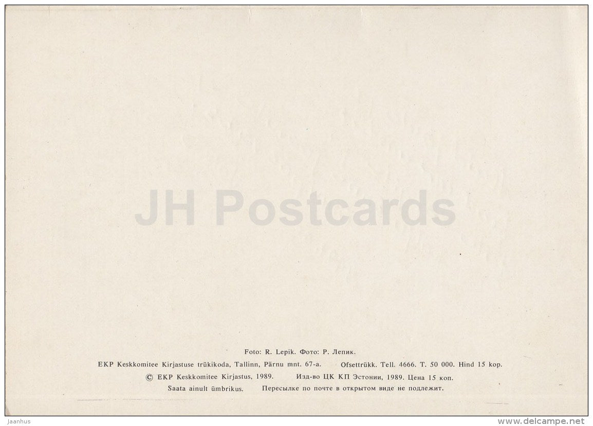 Christmas Greeting Card - Hut - Winter Forest - 1989 - Estonia USSR - used - JH Postcards