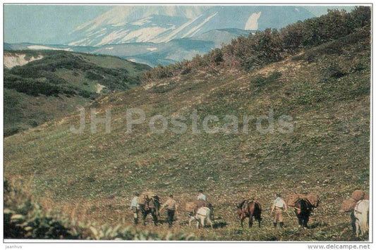 Kronotsky Nature Reserve - horses - in the land of volcanoes - 1971 - Russia USSR - unused - JH Postcards