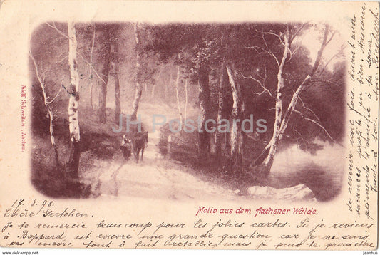 Motiv aus dem Aachener Walde - old postcard - 1898 - Germany - used - JH Postcards