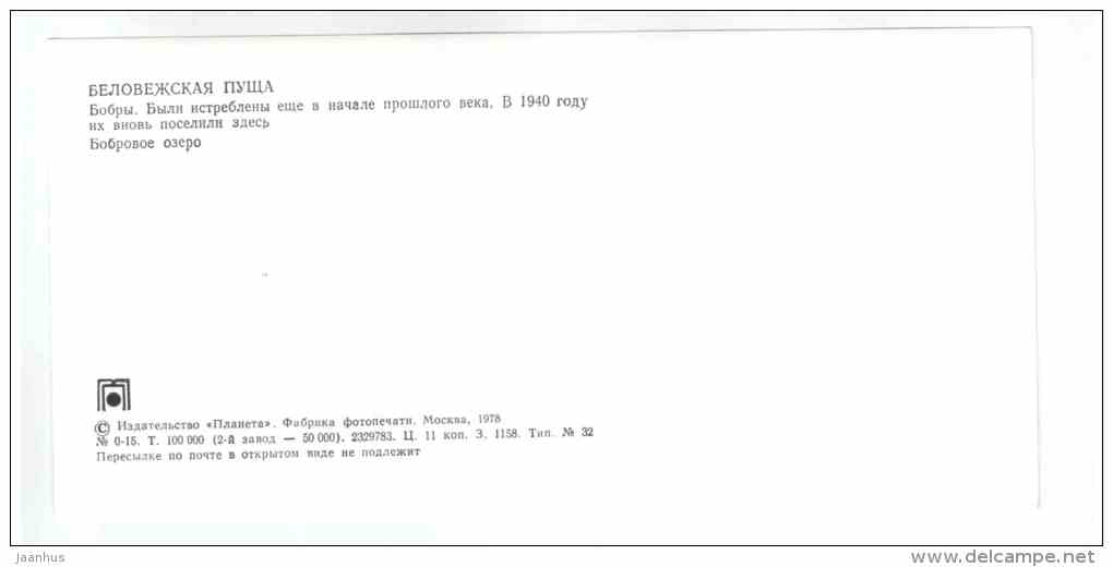 Beaver - Water Lily - Belovezhskaya Pushcha National Park - 1978 - Russia USSR - unused - JH Postcards