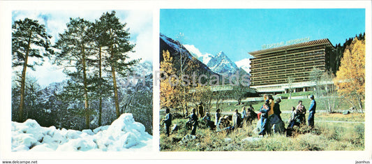 Dombay - Dombai - Pines on the Mountain Slopes - The Hotel Mountain Tops - 1983 - Russia USSR - unused - JH Postcards