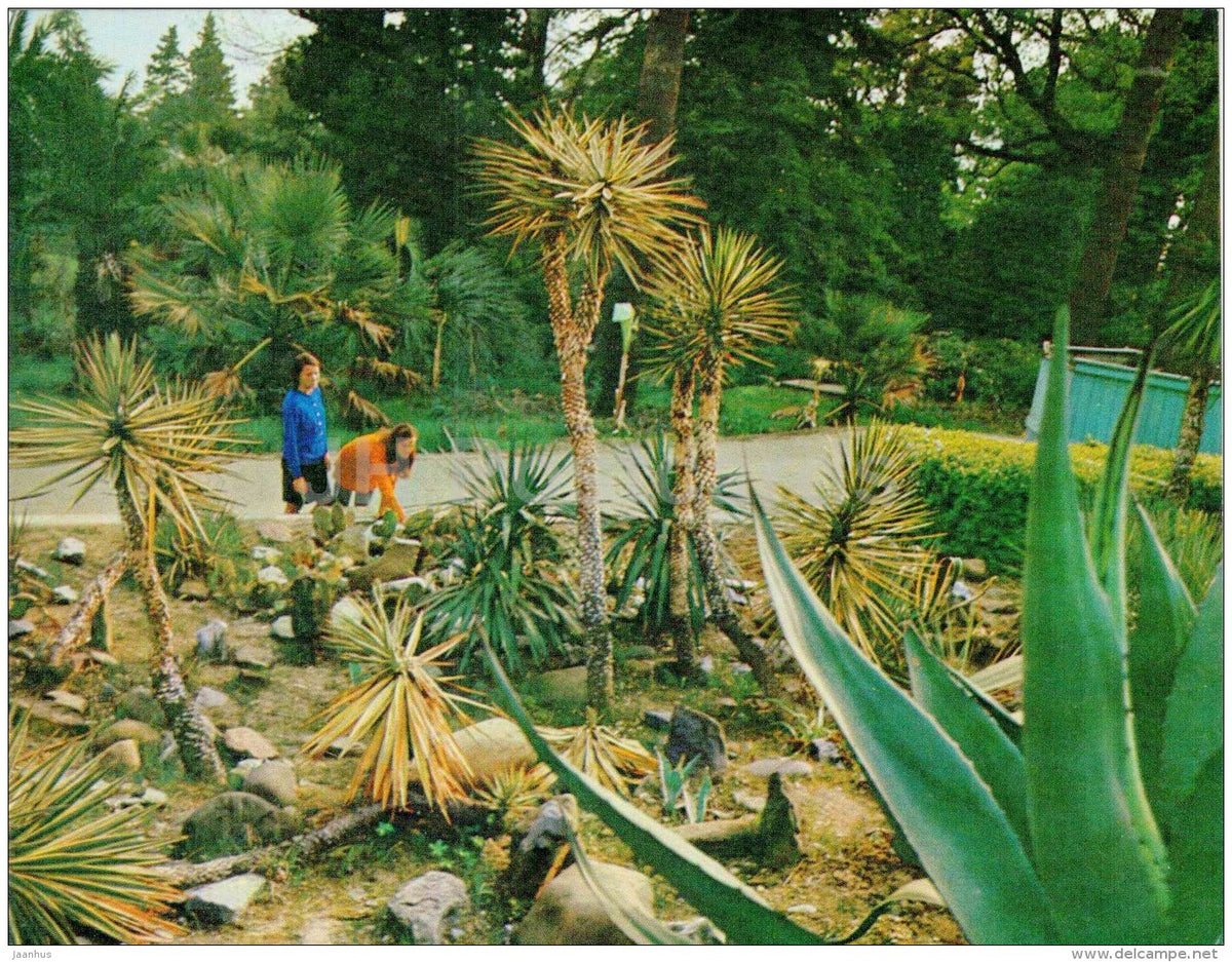 Mexican corner - Sochi Dendrarium - 1972 - Russia USSR - unused - JH Postcards