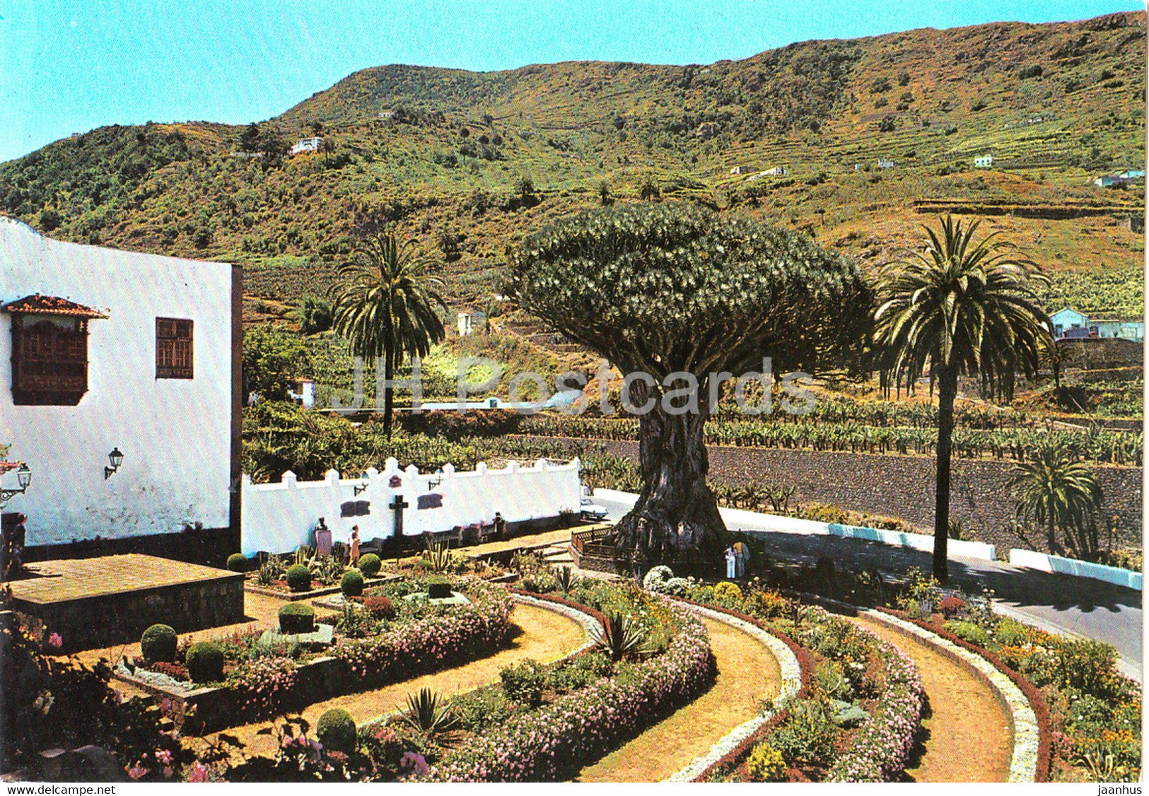 Icod De Los Vinos - Tenerife - El Drago milenario - 2821 - Spain - unused - JH Postcards