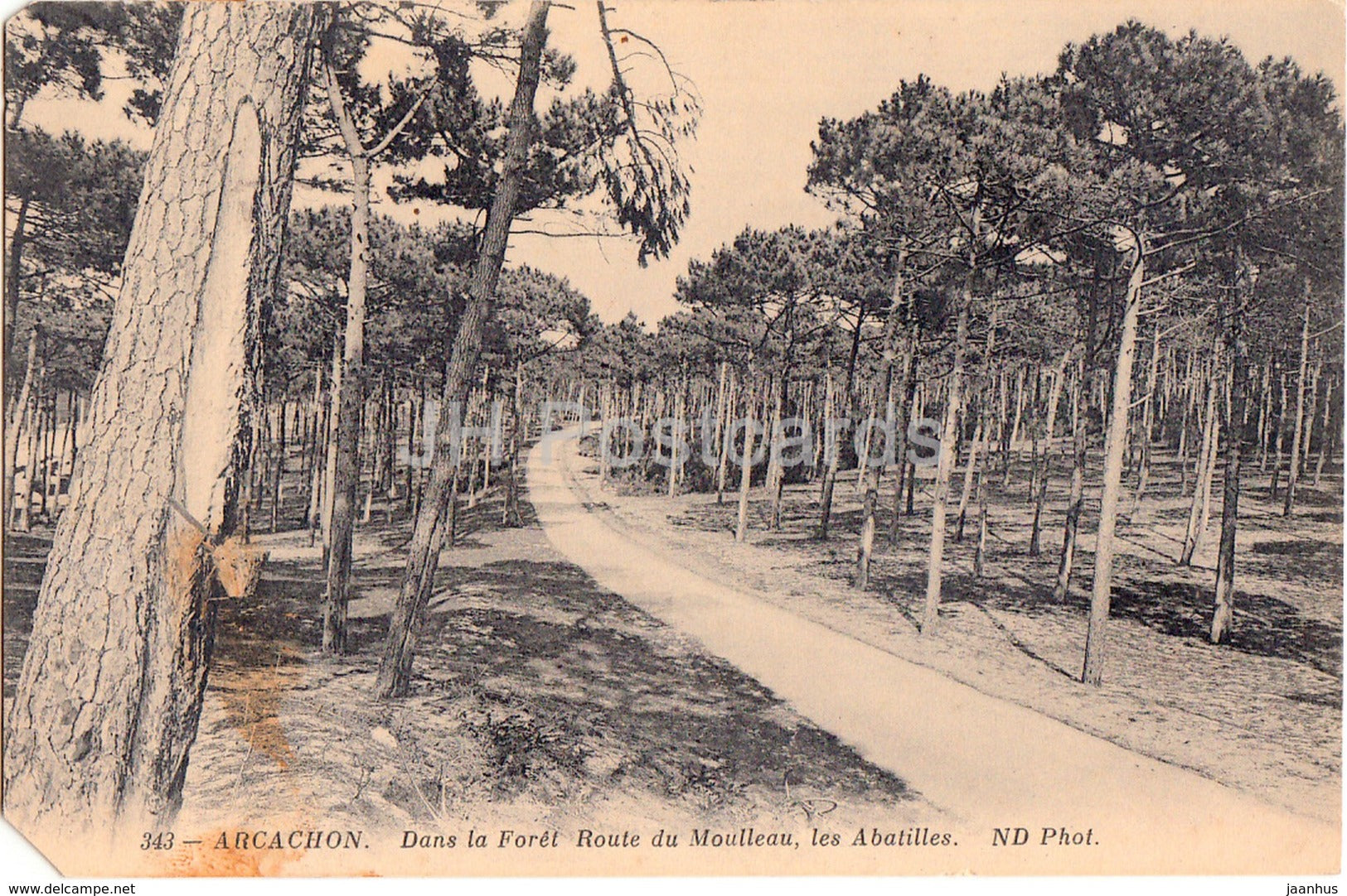 Arcachon - Dans la Foret - Route du Moulleau - Les Abatilles - 343 - 1911 - old postcard - France - used - JH Postcards