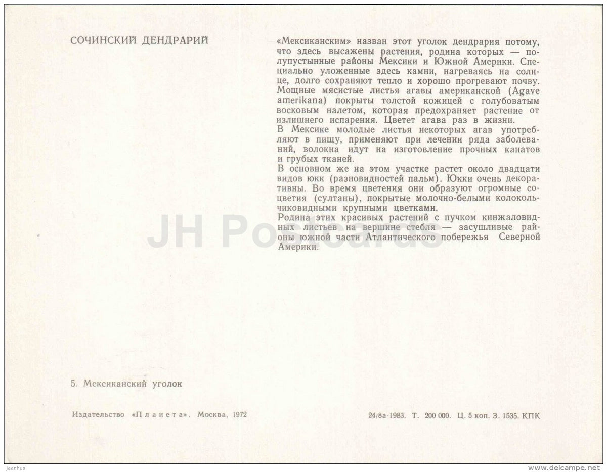 Mexican corner - Sochi Dendrarium - 1972 - Russia USSR - unused - JH Postcards