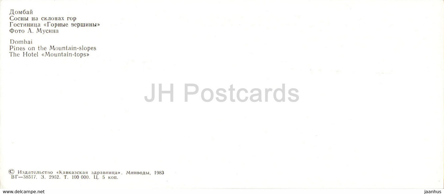 Dombay - Dombai - Pines on the Mountain Slopes - The Hotel Mountain Tops - 1983 - Russia USSR - unused