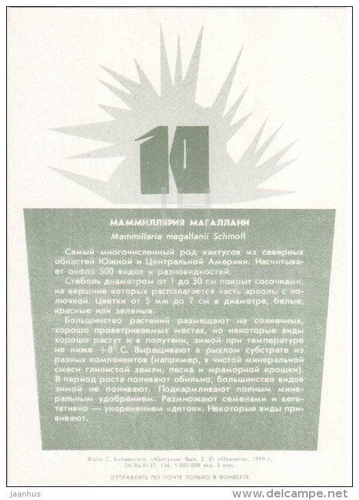 Mammillaria magallanii - cactus - plants - 1990 - Russia USSR - unused - JH Postcards