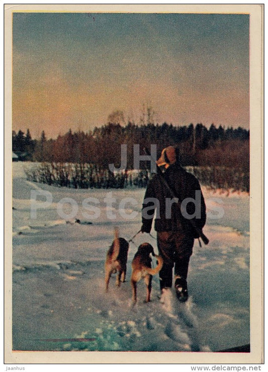 hunting - dogs - 1958 - Russia USSR - unused - JH Postcards