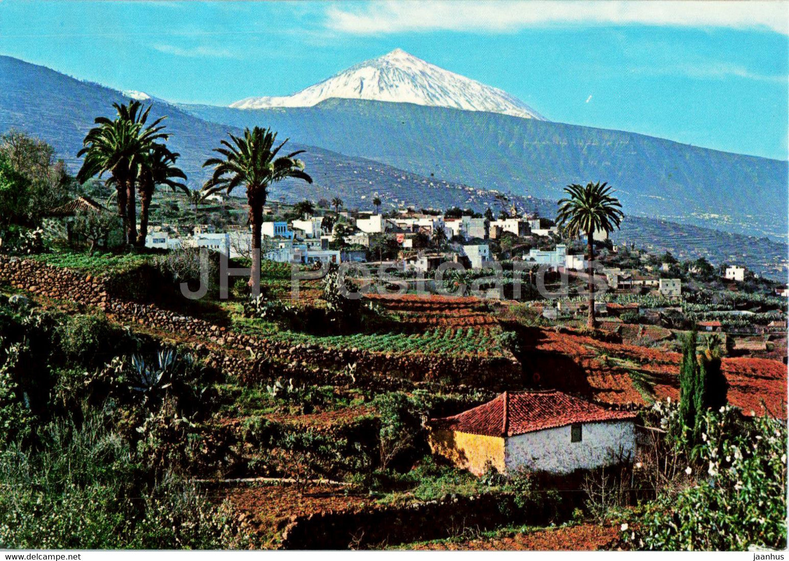 Puerto de la Cruz - Valle de la Orotava y Teide - Tenerife - 375 - Spain - unused - JH Postcards