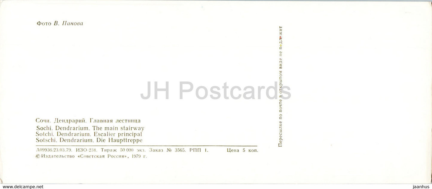 Sochi - Dendrarium - The Main Stairway - 1979 - Russia USSR - unused