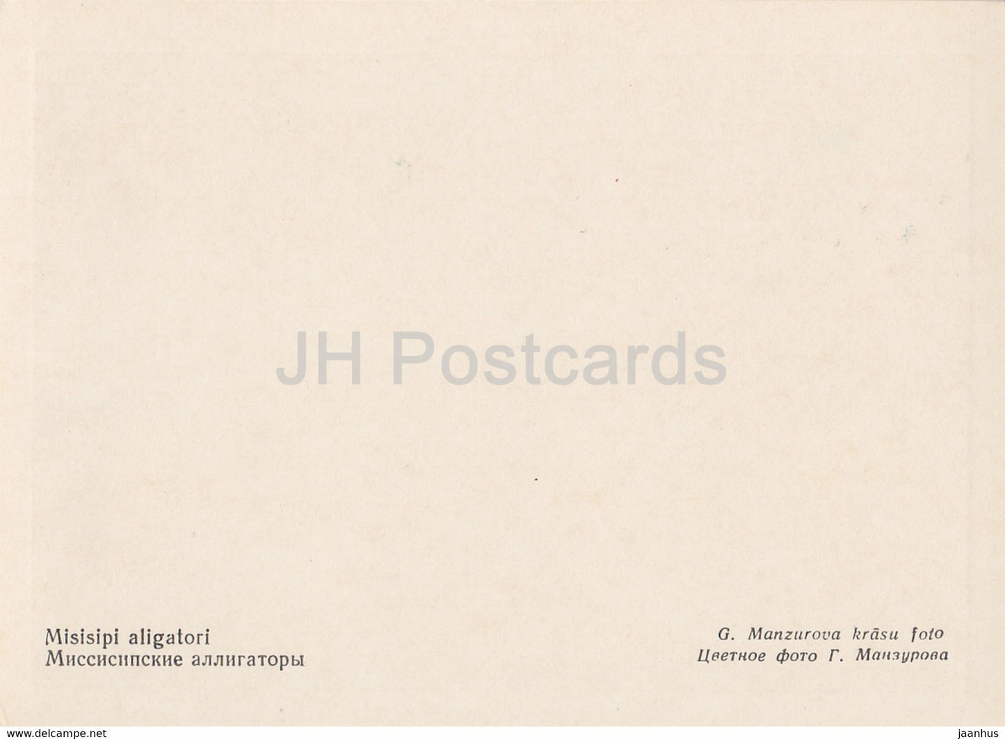 Riga Zoo - American alligator - Alligator mississippiensis - Latvia USSR - unused