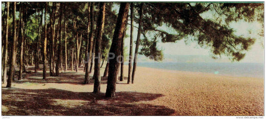 The Cape Pitsunda - Abkhazia - Caucasus - 1966 - Georgia USSR - unused - JH Postcards
