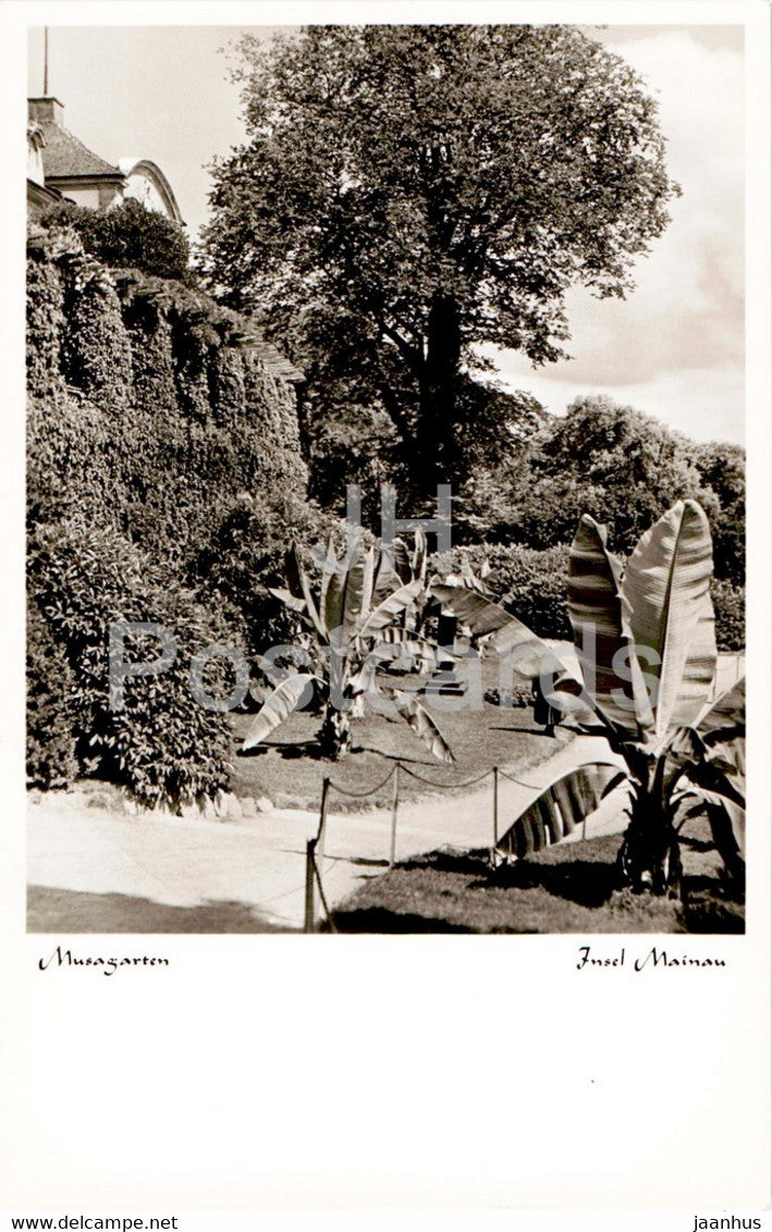 Musagarten - Insel Mainau - old postcard - Germany - unused - JH Postcards