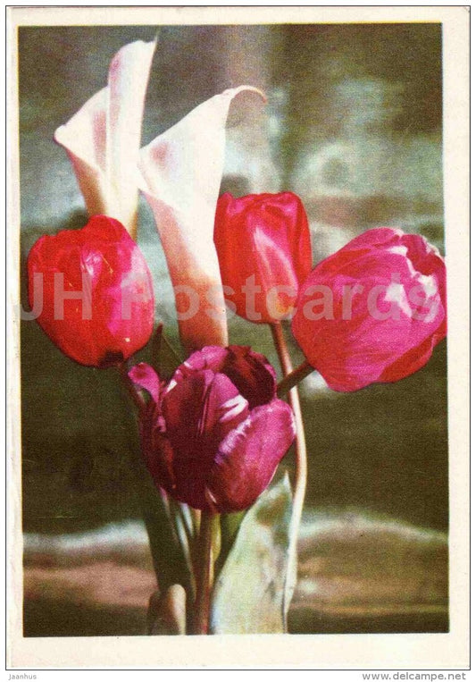 greeting card - red tulipos - flowers - telegram - 1971 - Russia USSR - used - JH Postcards