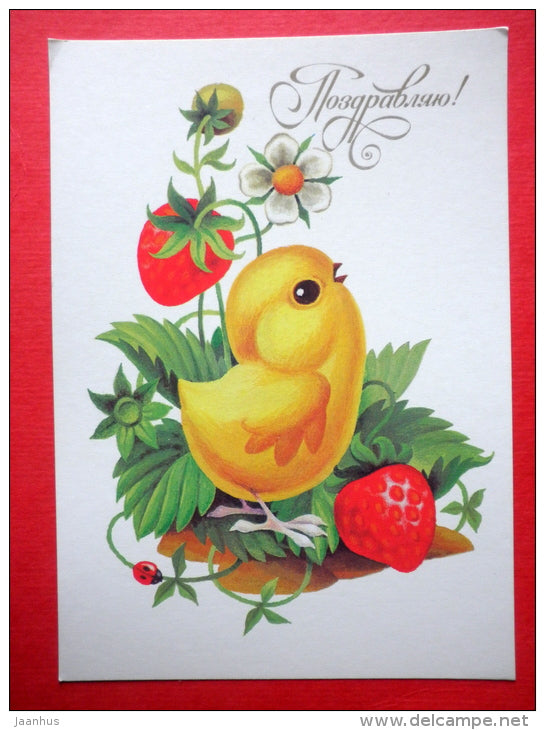 Greeting card - by S. Peshekhonov - chicken - strawberry - 1990 - Russia USSR - unused - JH Postcards