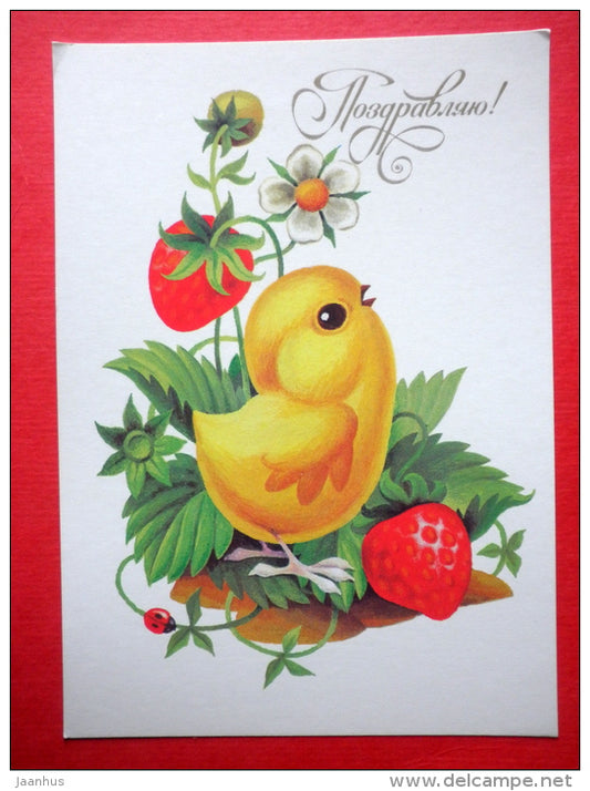Greeting card - by S. Peshekhonov - chicken - strawberry - 1990 - Russia USSR - unused - JH Postcards