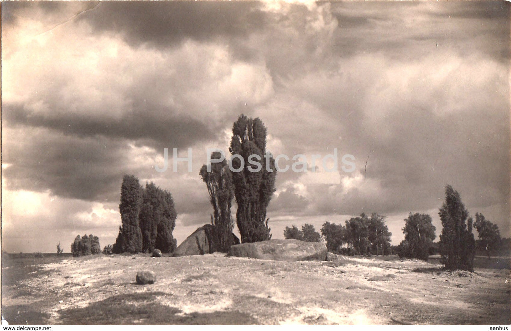 Wintermoor - Buhr's Hotel - Nordd Naturschutzpark - old postcard - Germany - unused - JH Postcards