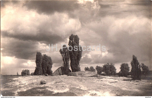 Wintermoor - Buhr's Hotel - Nordd Naturschutzpark - old postcard - Germany - unused - JH Postcards