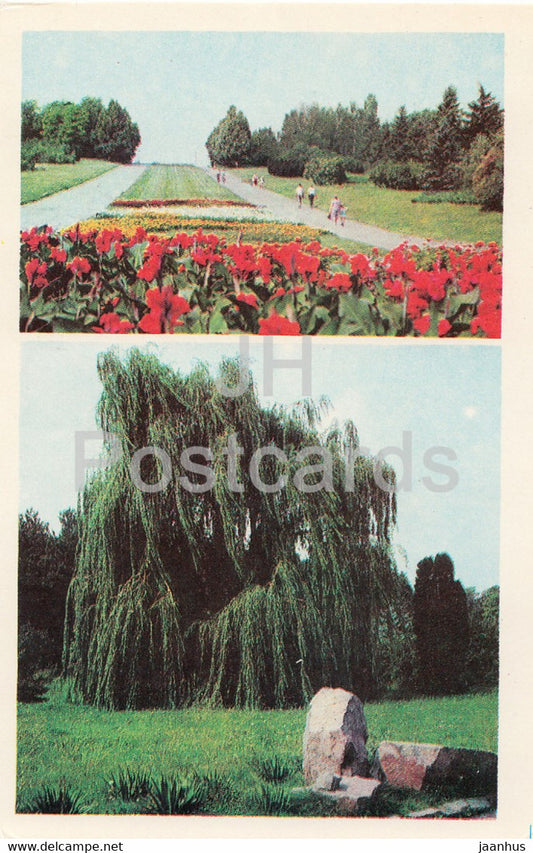 Central State Botanical Garden of Ukraine SSR - Garden Parterre - White Willow - 1978 - Ukraine USSR - unused - JH Postcards