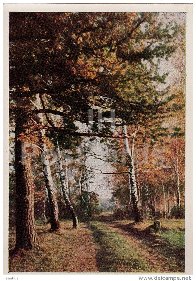 Moscow suburbs - road - 1964 - Russia USSR - unused - JH Postcards