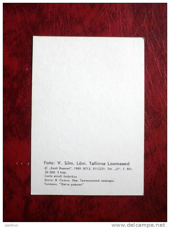 Lion - Tallinn Zoo - mini card - 1989 - Estonia - USSR - unused - JH Postcards