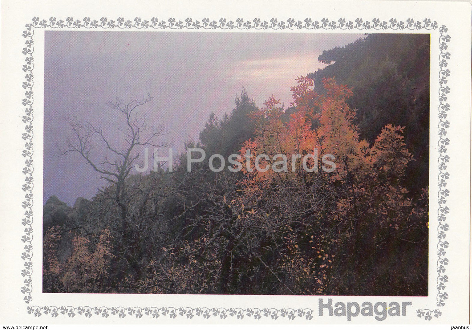 Karadag - trees - Crimea - 1989 - Ukraine USSR - unused - JH Postcards