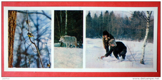 tit - birds - wolf - Tsentralno-Lesnoy Nature Reserve - 1979 - USSR Russia - unused - JH Postcards