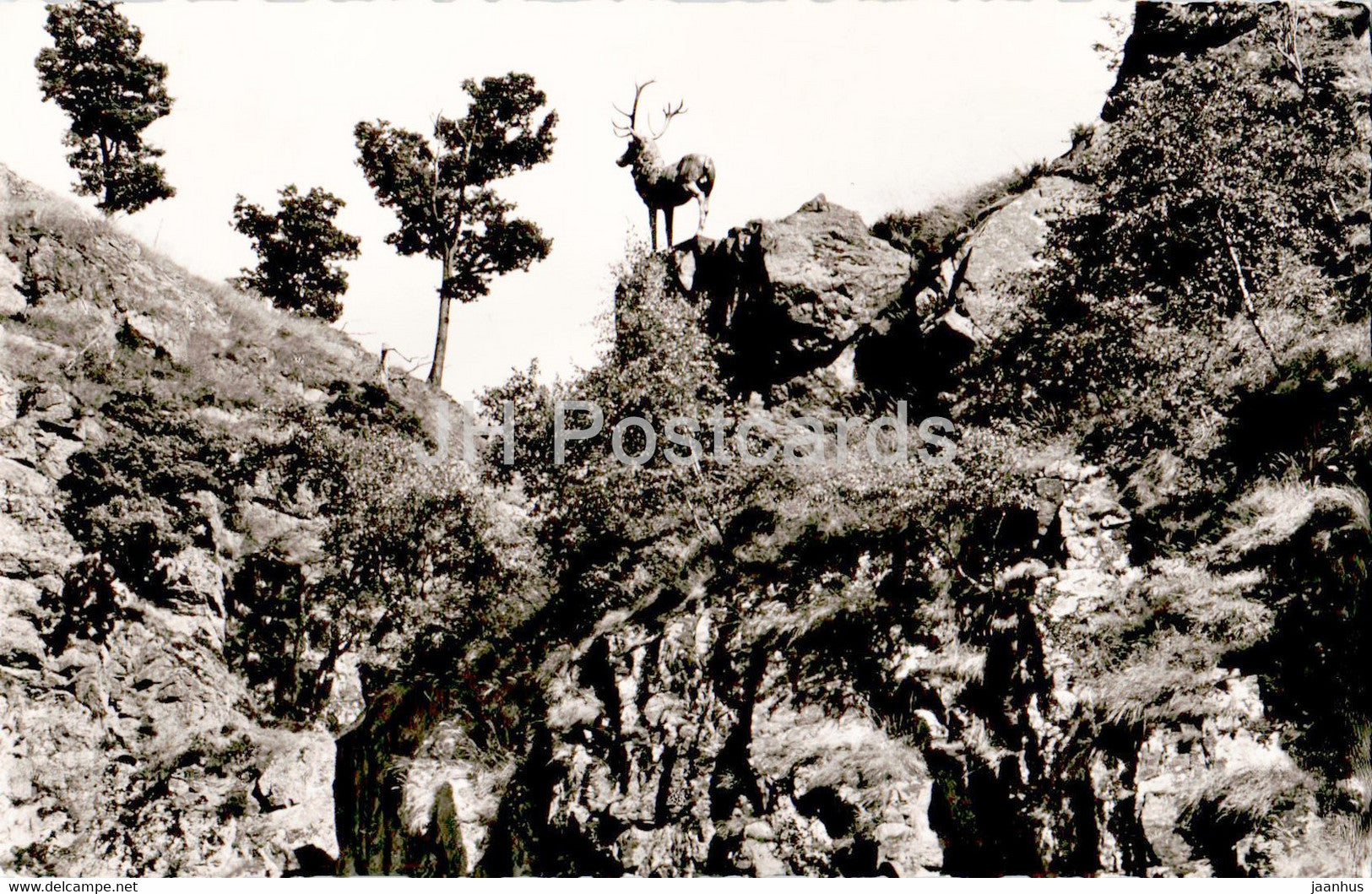 Hirschprung im Hollental - old postcard - Germany - unused - JH Postcards