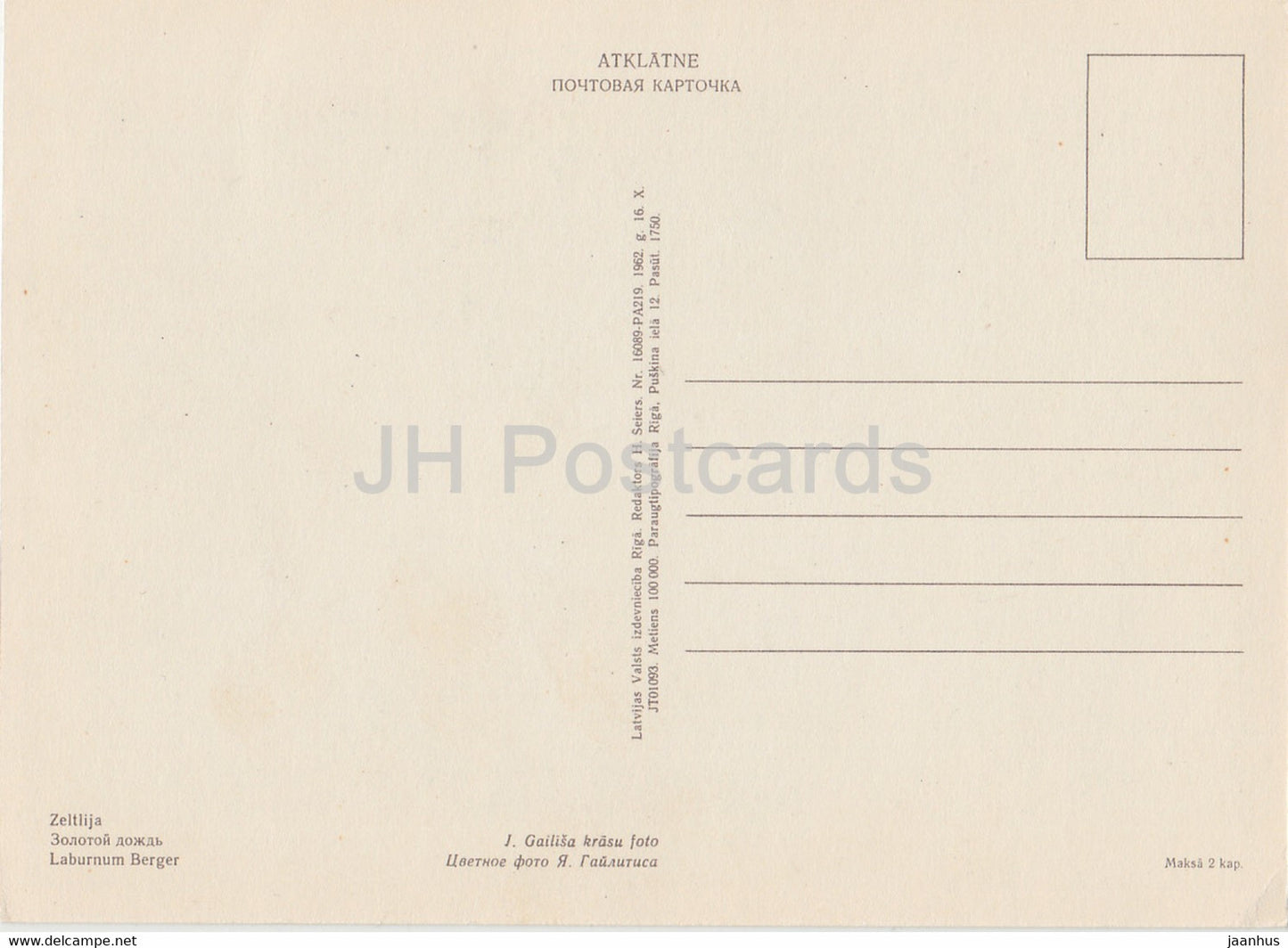 Growing Laburnum - flowers - plants - 1962 - Latvia USSR - unused