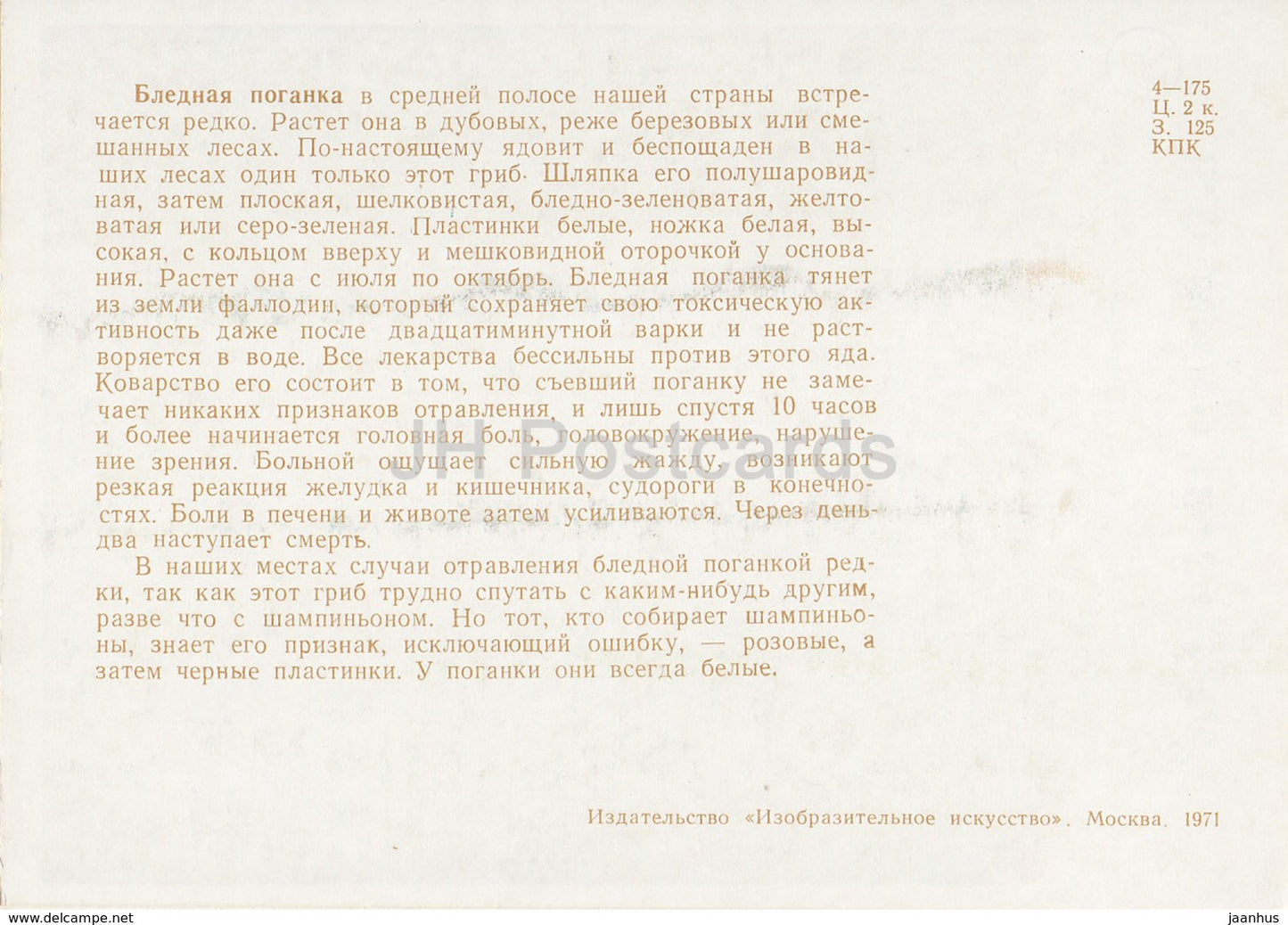 Casquette mortuaire - Amanita phalloides - champignons - illustration - 1971 - Russie URSS - inutilisé