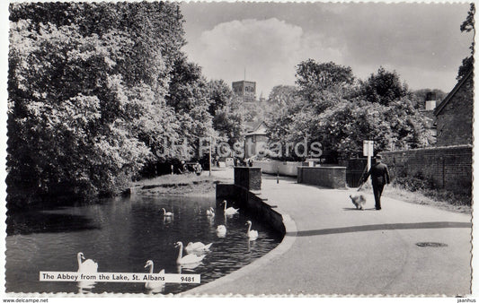 St. Albans Abbey - The Abbey from the Lake - swan - birds - 1961 - United Kingdom - England - used - JH Postcards