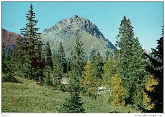 Cornone di Blumone mt. 2843 - Bagolino - Brescia - Lombardia - 146 - Italia - Italy - unused - JH Postcards