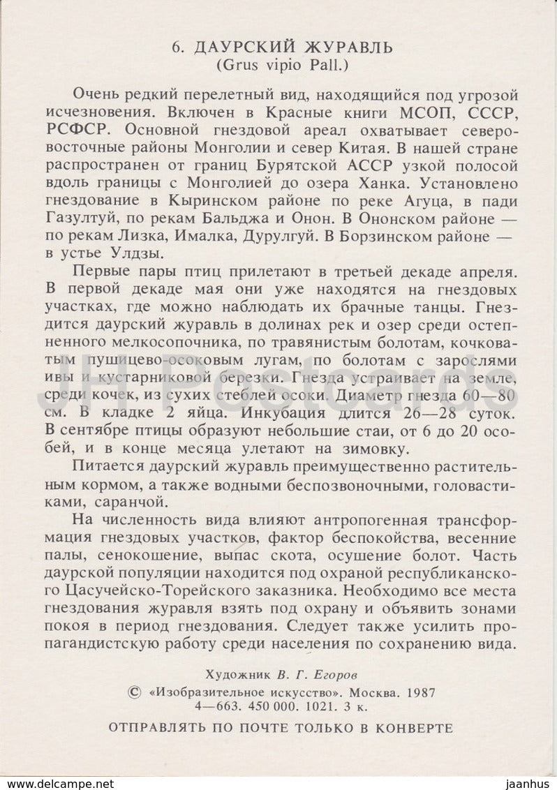Weißnackenkranich - Grus vipio - Vögel - 1987 - Russland UdSSR - unbenutzt