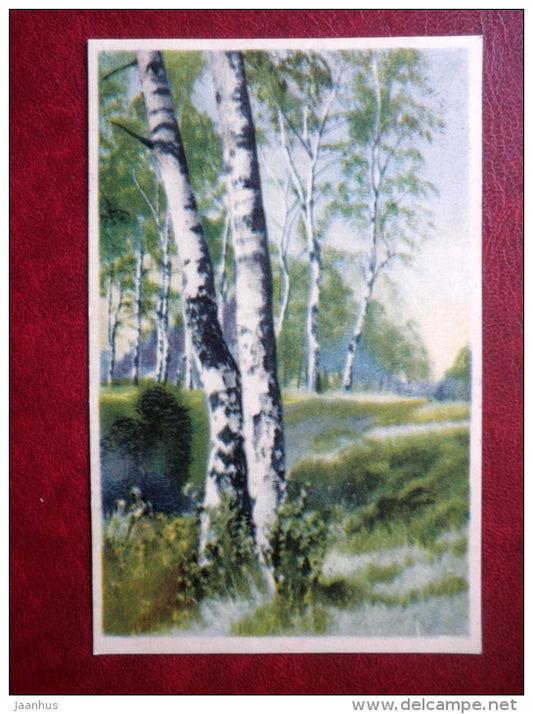 birch forest - WO 660 - old postcard - circulated in Estonia 1930s , Tapa - Estonia - used - JH Postcards