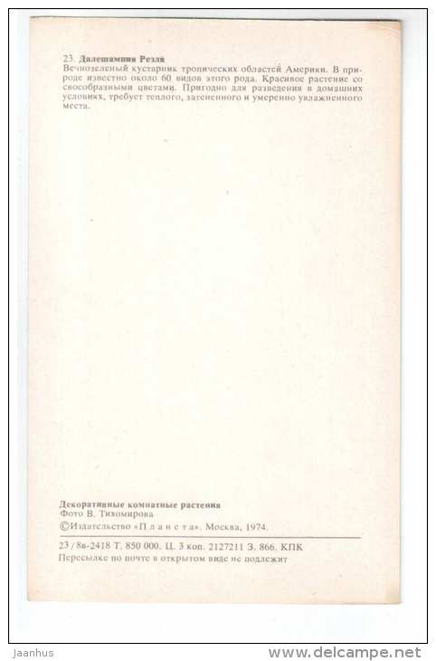 Winged Beauty Shrub - Dalechampia roezliana - Decorative House Plants - flowers - 1974 - Russia USSR - unused - JH Postcards