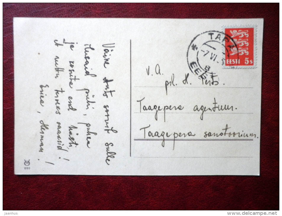 birch forest - WO 660 - old postcard - circulated in Estonia 1930s , Tapa - Estonia - used - JH Postcards