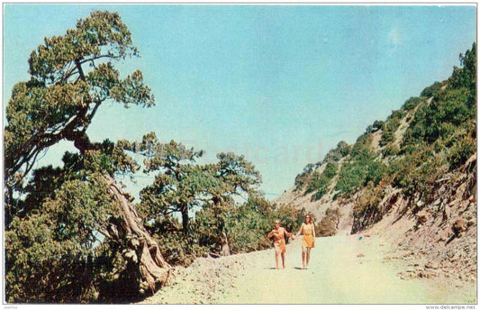 Sukko valley . Road to the spring - Anapa - 1973 - Russia USSR - unused - JH Postcards