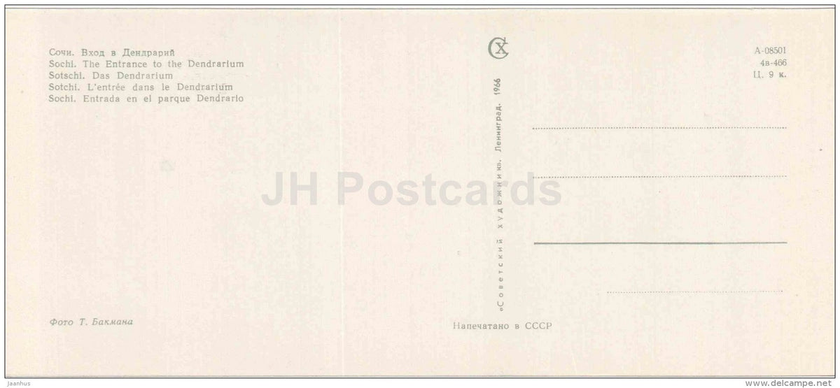 The entrance to the Dendrarium - Sochi - Caucasus - 1966 - Russia USSR - unused - JH Postcards