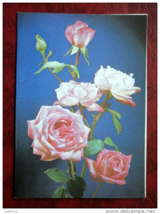 Birthday Greeting Card - roses - flowers - 1988 - Russia - USSR - unused - JH Postcards