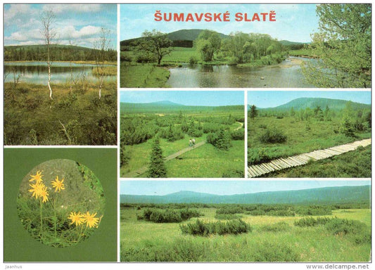 Sumavske Slate - moor - nature - Czechoslovakia - Czech - unused - JH Postcards