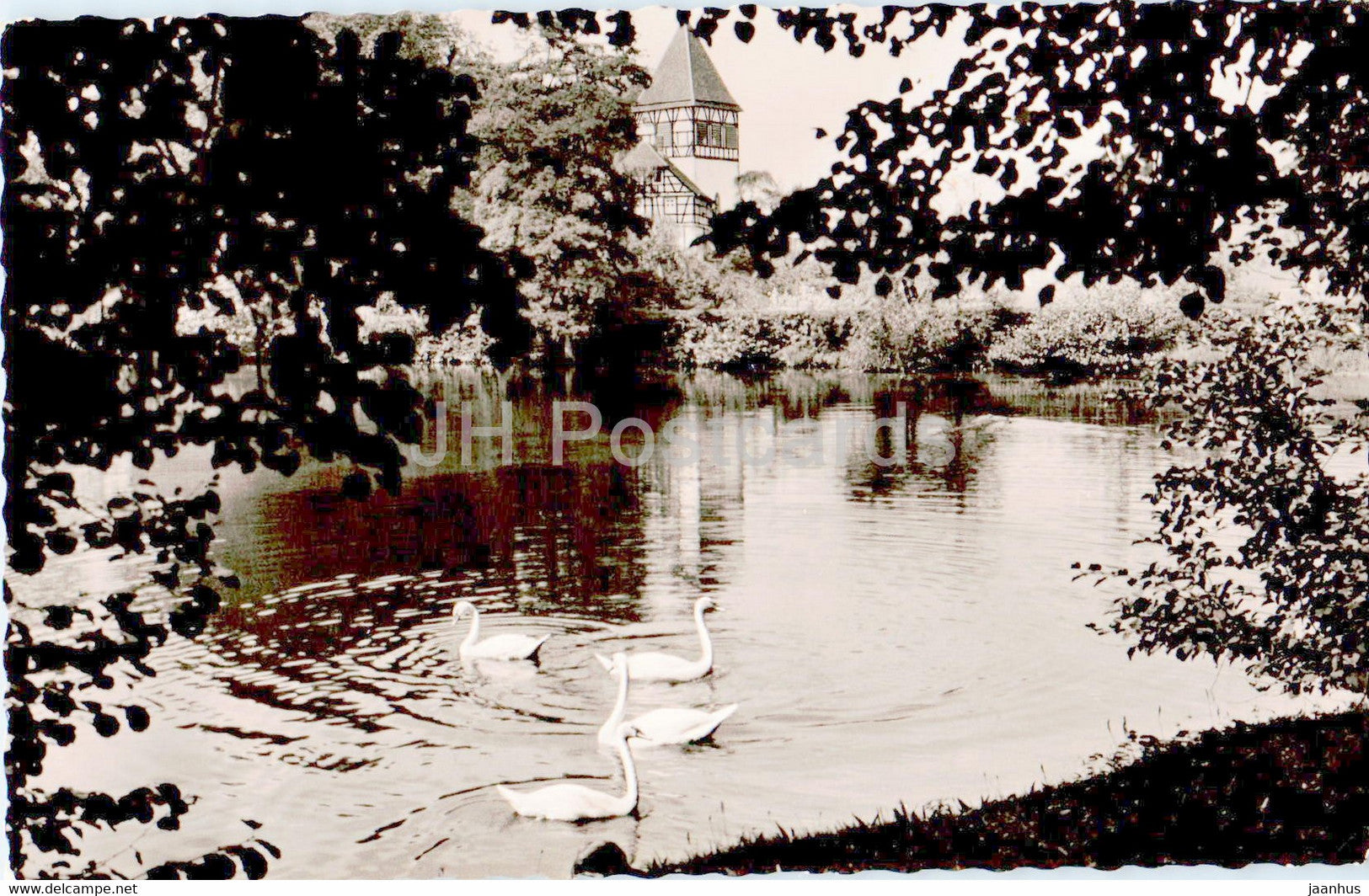 Luftkurort Murrhardt - Feuersee mit Walterichskirche - birds - swan - old postcard - 1964 - Germany - used - JH Postcards