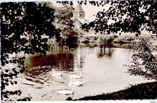 Luftkurort Murrhardt - Feuersee mit Walterichskirche - birds - swan - old postcard - 1964 - Germany - used - JH Postcards