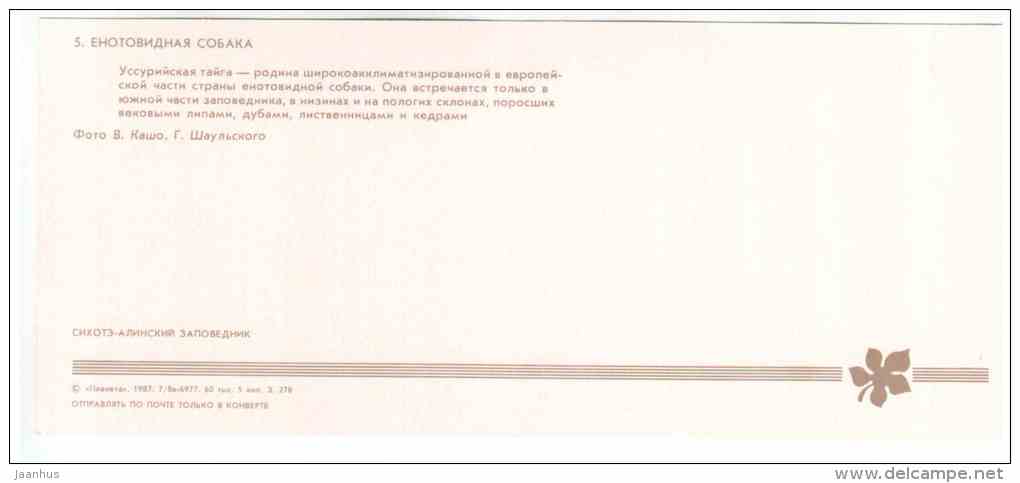 Raccoon dog - Nyctereutes procyonoides - Sikhote-Alin Nature Reserve - 1987 - Russia USSR - unused - JH Postcards