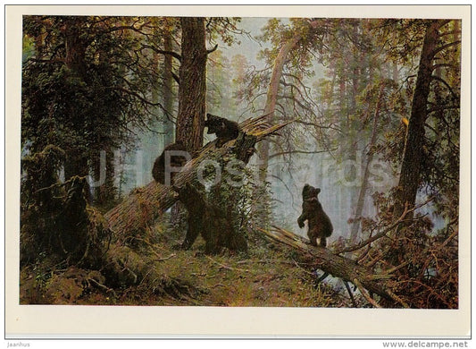 painting by I. Shishkin - Morning in the Pine Forest , 1889 - bear - Russian art - 1974 - Russia USSR - unused - JH Postcards